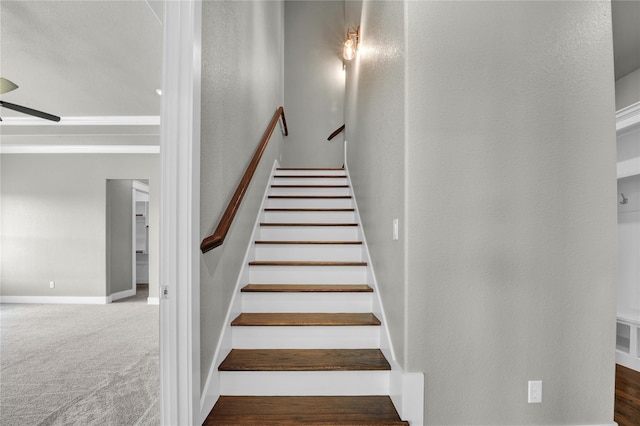 stairway with carpet floors