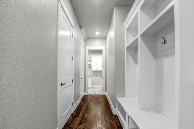 mudroom featuring dark hardwood / wood-style flooring