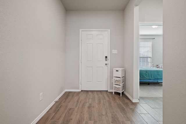 foyer featuring wood-type flooring