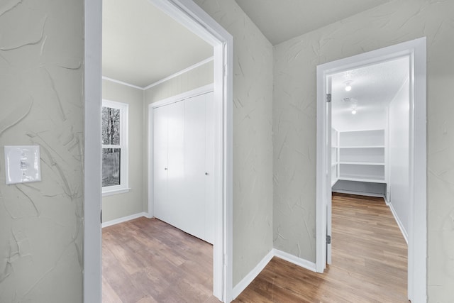 hallway with crown molding and light hardwood / wood-style flooring