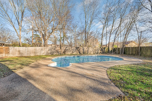 view of swimming pool featuring a patio area