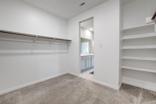 walk in closet with light carpet