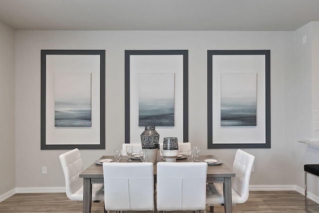 dining room featuring hardwood / wood-style flooring