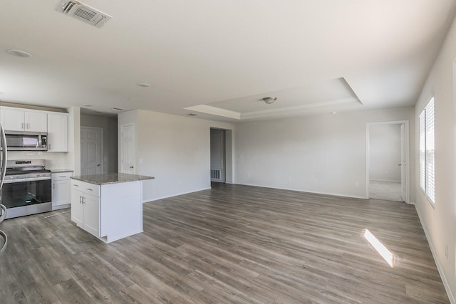 kitchen featuring stone counters, a kitchen island, white cabinets, a tray ceiling, and stainless steel appliances