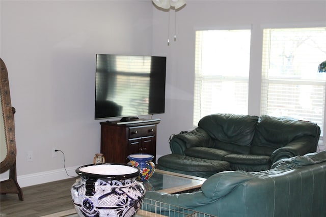 living room featuring wood-type flooring