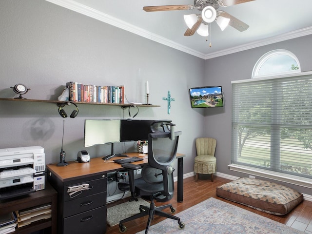 office space with crown molding, ceiling fan, and dark hardwood / wood-style floors