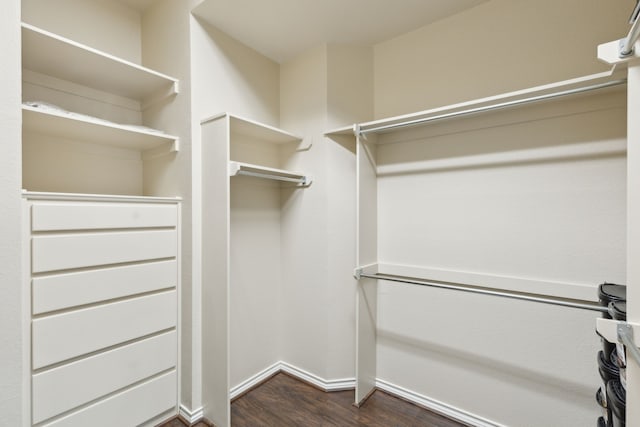 walk in closet with dark hardwood / wood-style flooring