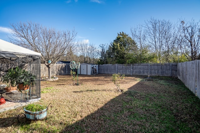 view of yard featuring a shed