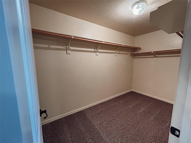 spacious closet featuring carpet flooring