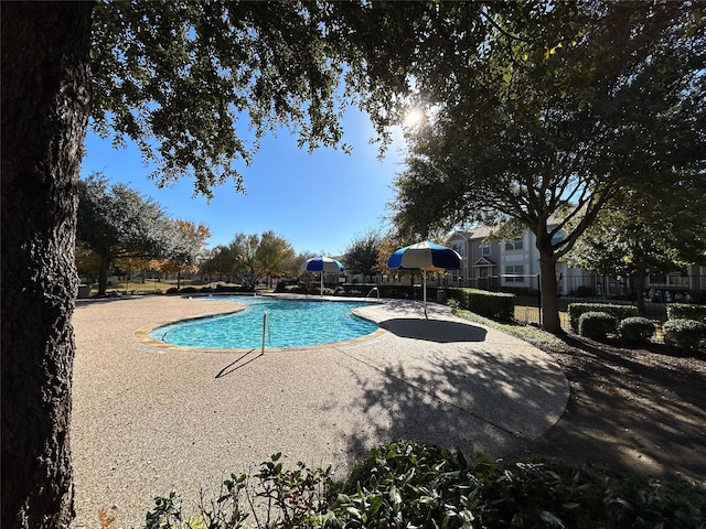 view of pool featuring a patio