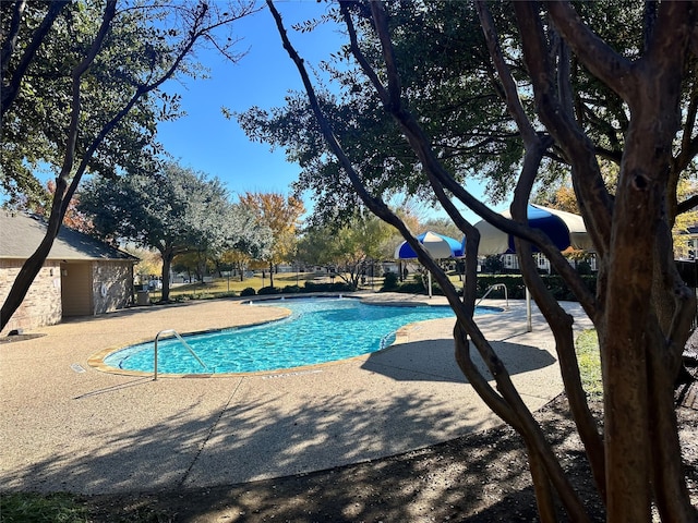 view of swimming pool