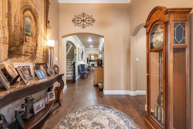 foyer with dark hardwood / wood-style flooring and ornamental molding