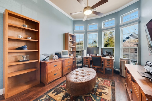 office featuring crown molding, ceiling fan, and dark hardwood / wood-style flooring