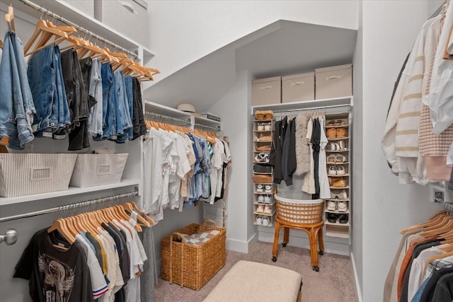 walk in closet with light carpet