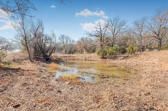 view of landscape