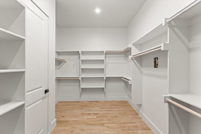 spacious closet featuring light hardwood / wood-style floors