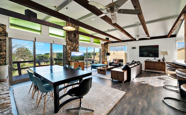 dining space with ceiling fan, plenty of natural light, beamed ceiling, and dark wood-type flooring