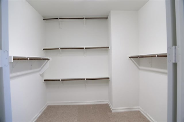 spacious closet with light carpet