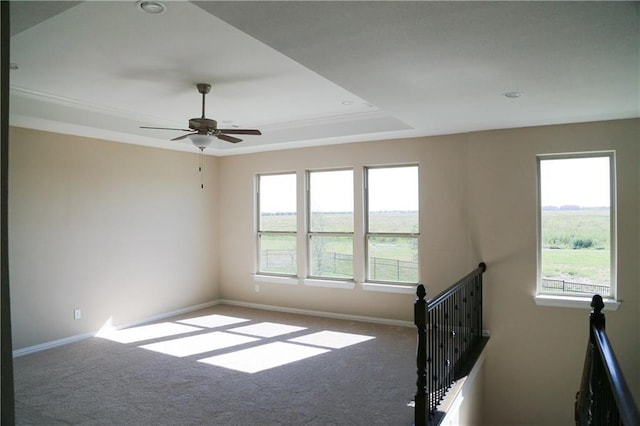 empty room featuring carpet flooring, ceiling fan, and a tray ceiling