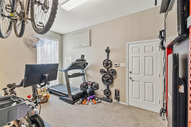 exercise room with carpet floors