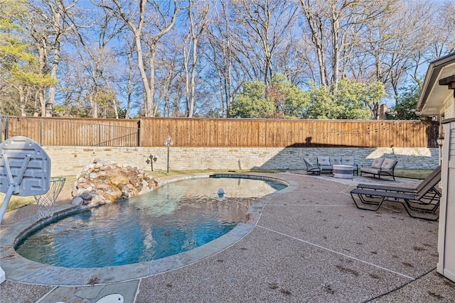 view of pool featuring a patio area