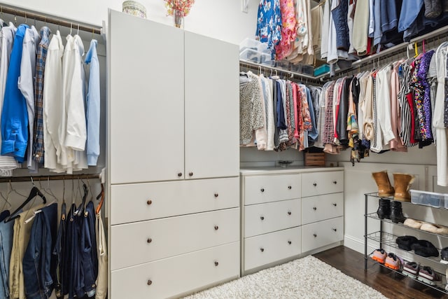 walk in closet with dark hardwood / wood-style floors