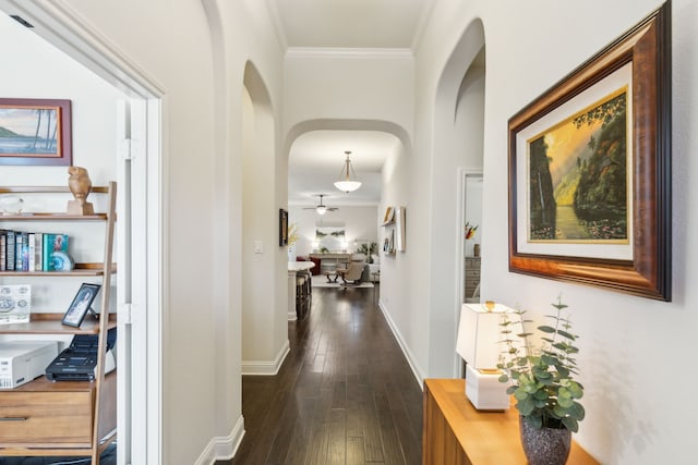 hallway featuring dark wood-type flooring and crown molding