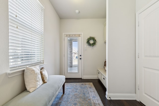 sitting room with dark wood-type flooring