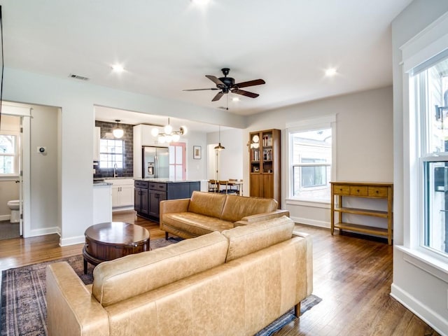 living room with plenty of natural light, ceiling fan with notable chandelier, and dark hardwood / wood-style floors