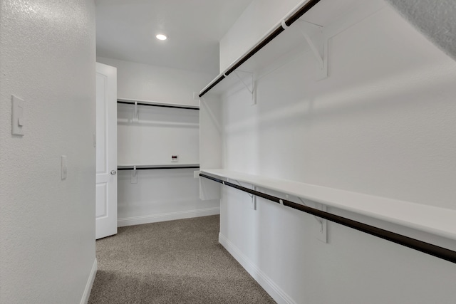 walk in closet featuring light carpet