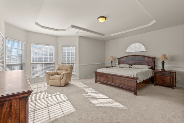 carpeted bedroom with a tray ceiling