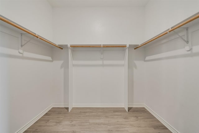 walk in closet with light wood-type flooring