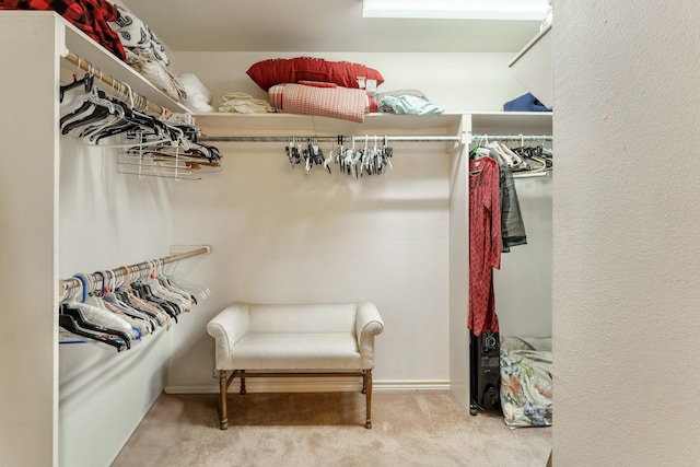 spacious closet with carpet