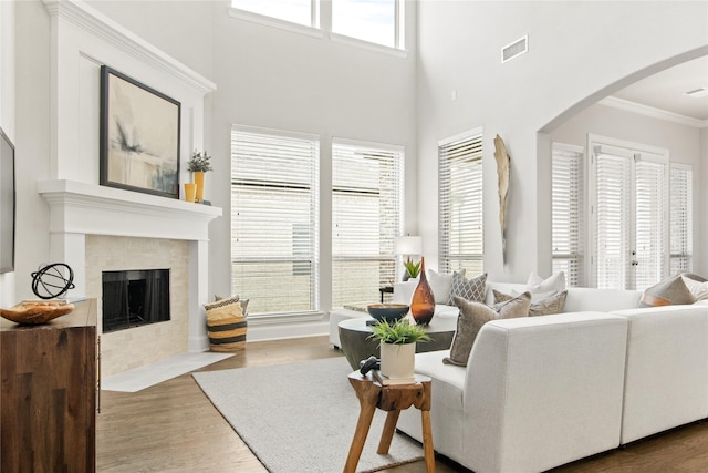 living room with crown molding, a fireplace, and hardwood / wood-style floors