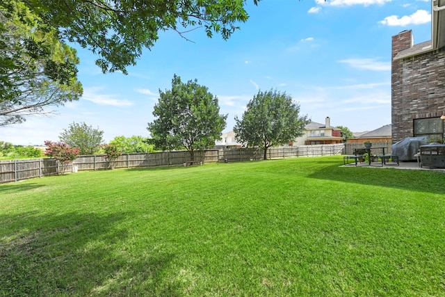 view of yard with a patio area