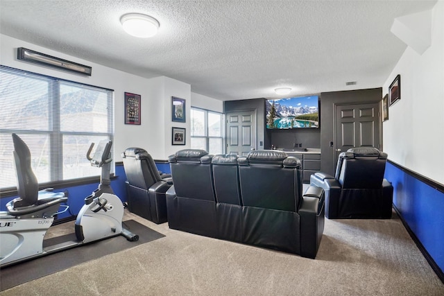 carpeted cinema with a textured ceiling