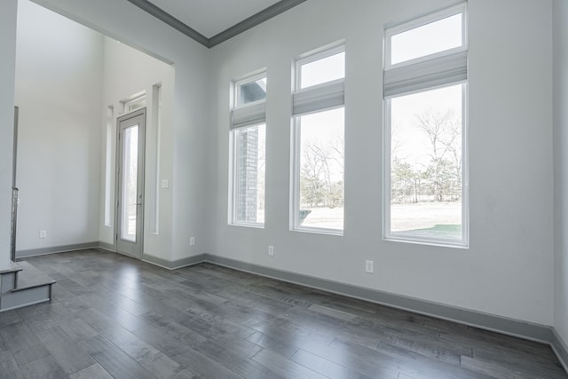 spare room with crown molding and dark hardwood / wood-style floors