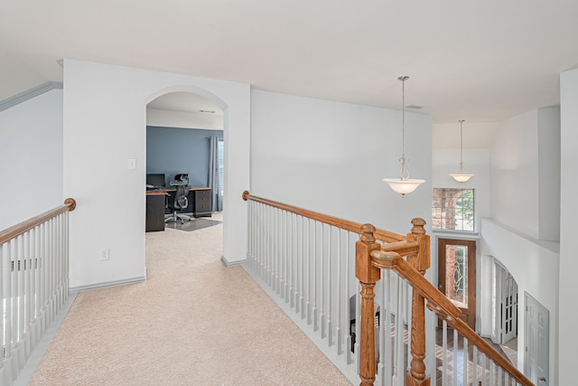 corridor featuring carpet and lofted ceiling