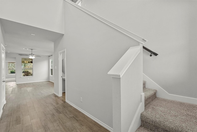 stairway with ceiling fan and wood-type flooring