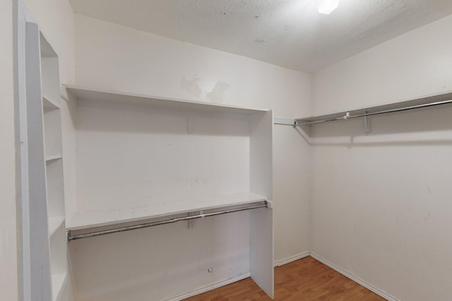 spacious closet with light wood-type flooring