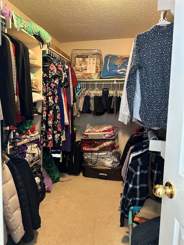 walk in closet featuring carpet flooring