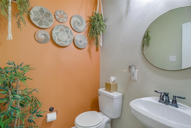 bathroom featuring sink and toilet