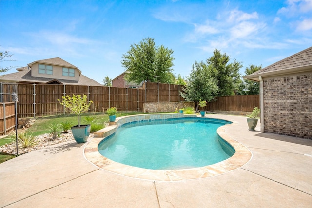 view of swimming pool featuring a patio