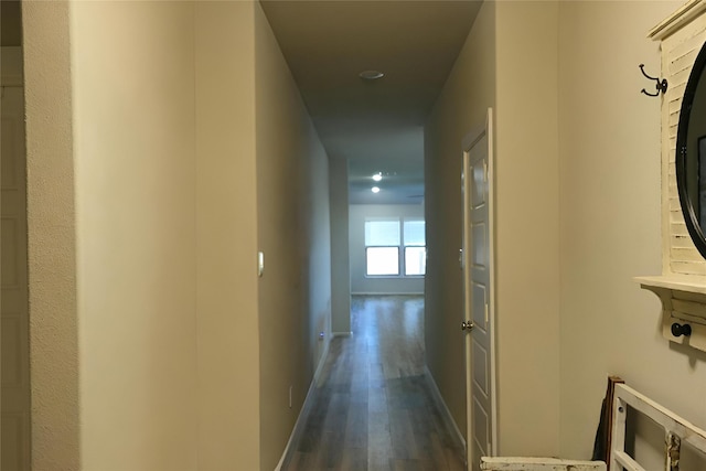 hallway featuring dark hardwood / wood-style flooring