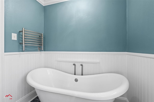 bathroom featuring a bathtub and radiator heating unit