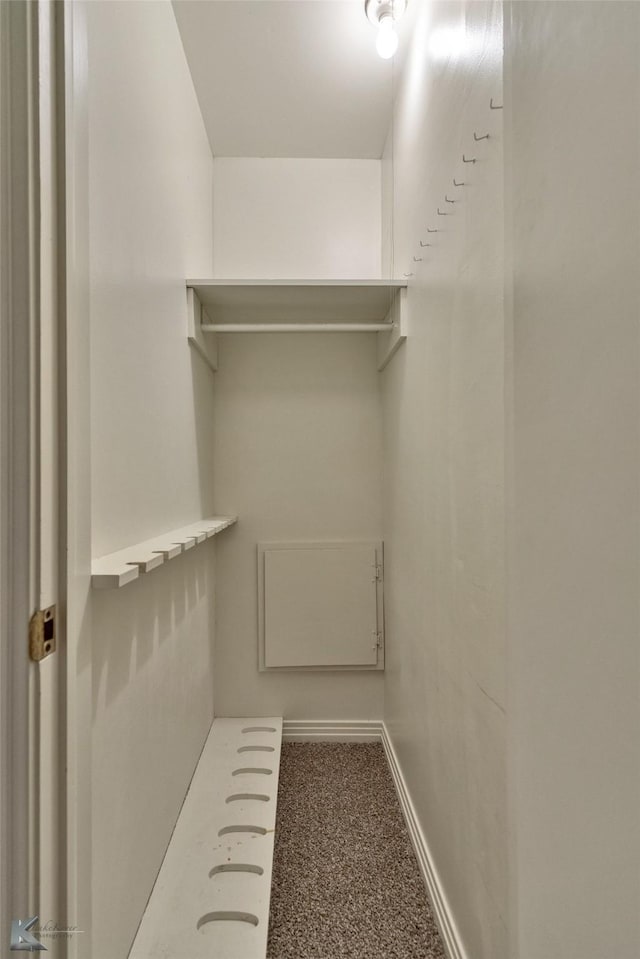 spacious closet with carpet