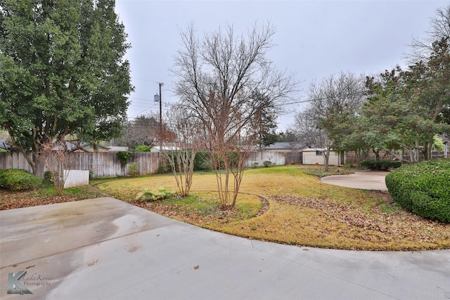 view of yard featuring a patio