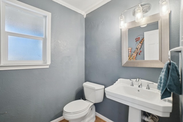 bathroom featuring sink, crown molding, and toilet