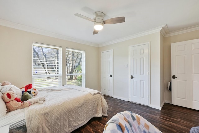 bedroom with dark wood-type flooring, ceiling fan, multiple closets, and crown molding