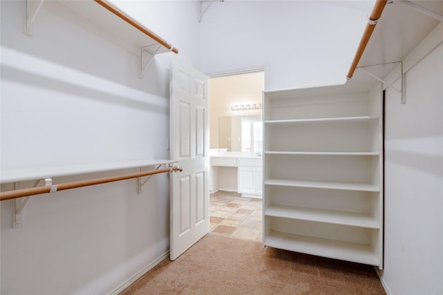 spacious closet featuring light colored carpet